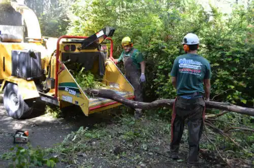 tree services Farm Loop